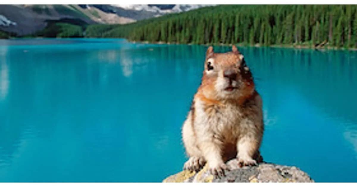 PLANETVIEW präsentiert: In der Wildnis Kanadas und Alaskas event image