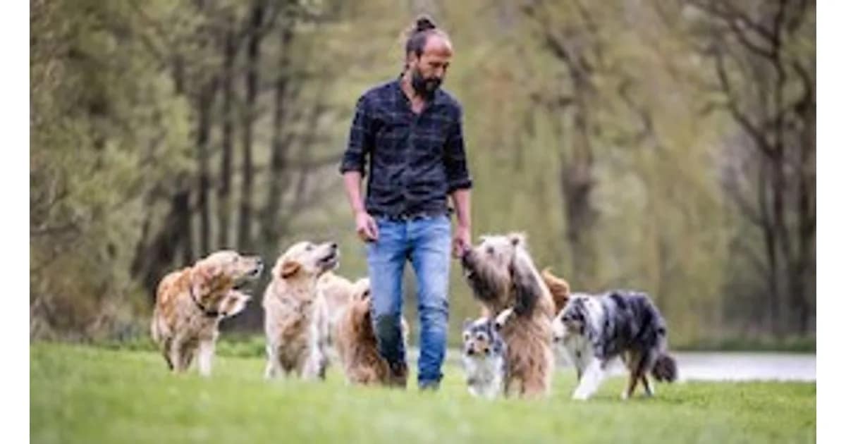 Sami El Ayachi - Der zugewandte Hund! event image