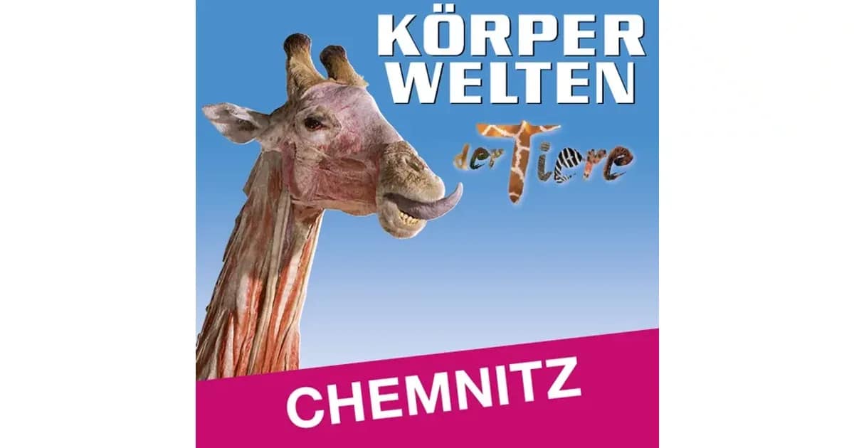 KÖRPERWELTEN der Tiere | Chemnitz | Zeitfensterticket - event image