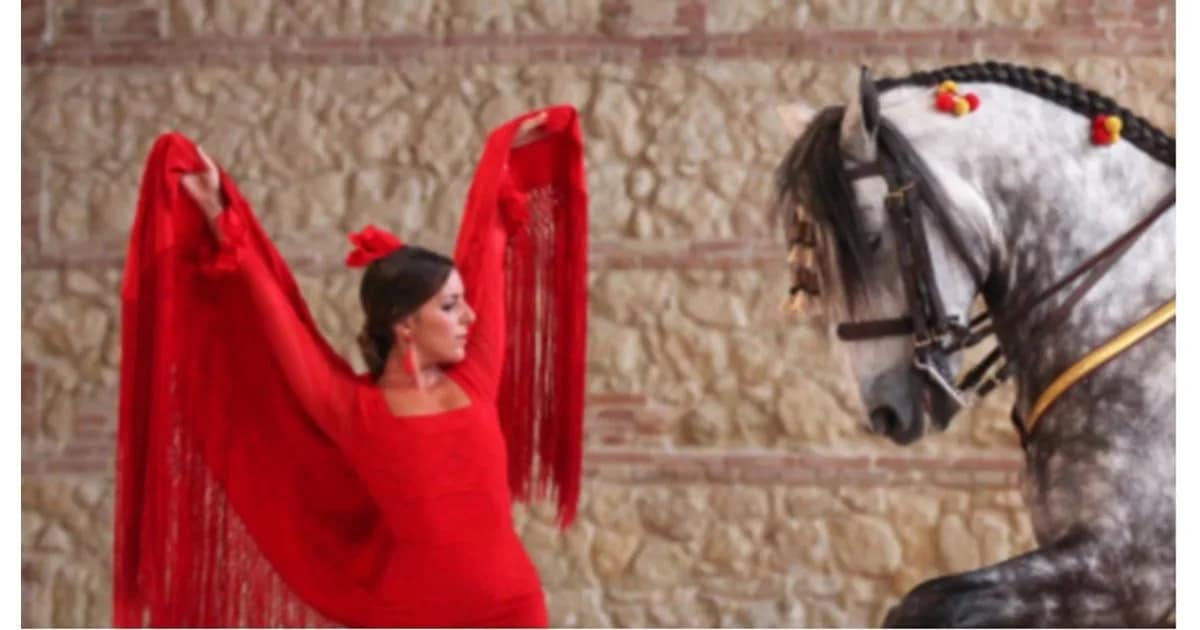 Pasión y Duende Andaluz event image