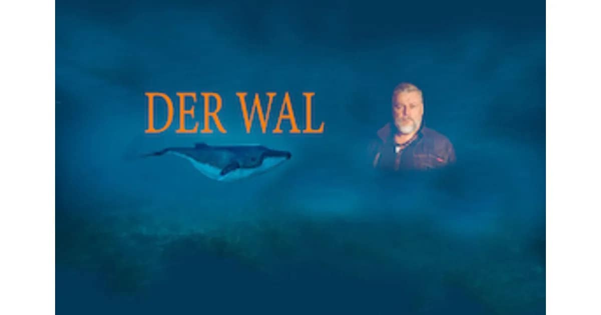 Theater - Der Wal event image