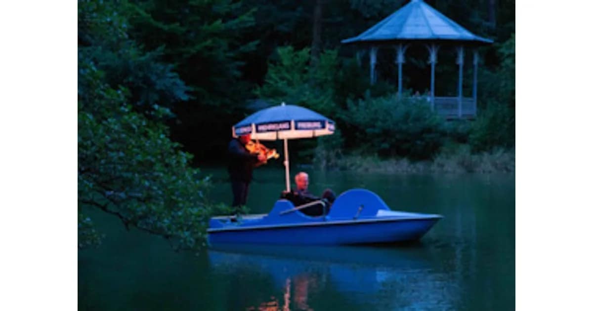 Klangparcours am Waldsee - Entdeckungstour mit neuer Musik event image