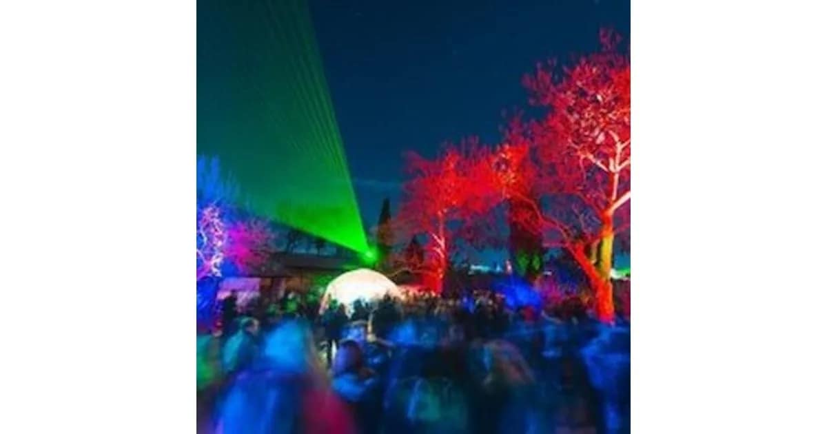 Weinnächte - Bad Dürkheimer Weinbergnacht event image