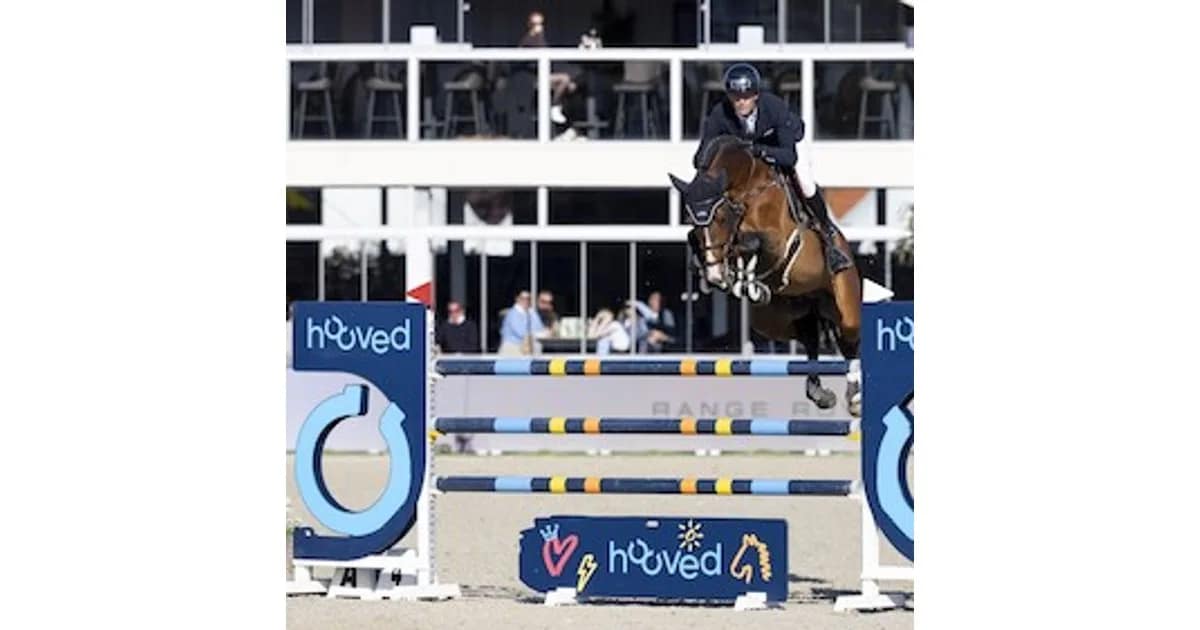 Horses & Dreams 2027 - Horses & Dreams - Tagesveranstaltung Sonntag event image