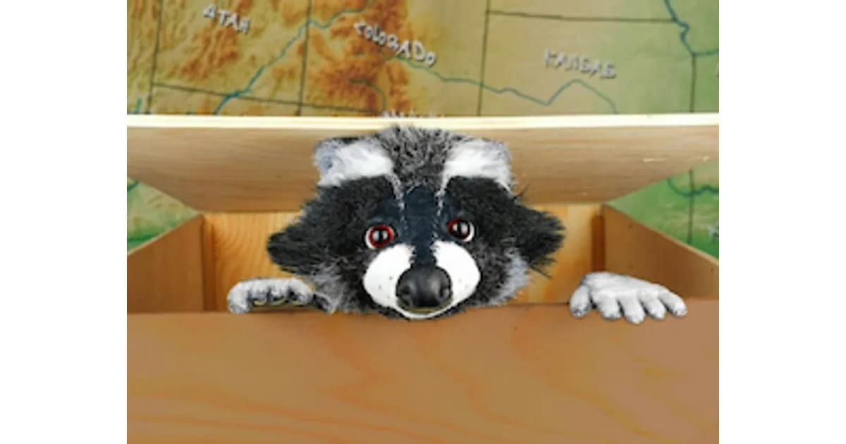 Rocky Waschbär - Der Apfelkuchendieb (ab 4 Jahren) event image