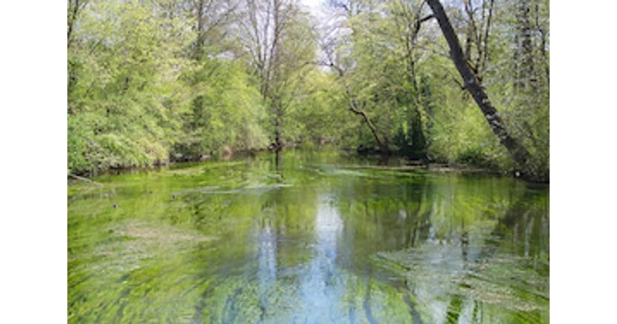 Spielzeit 2026 / 2027 - boox am Wasser event image