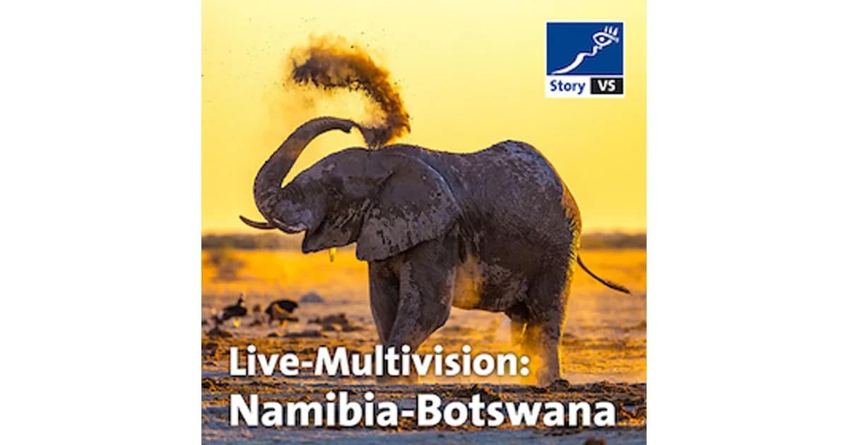 story VS: Namibia - Botswana - Echo der Schöpfung event image