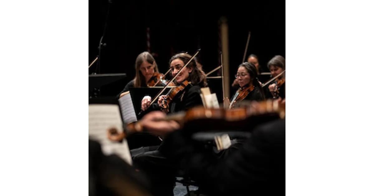Sinfoniekonzert 3 - Wiener Klassik - Dirigat : GMD Jochem Hochstenbach event image