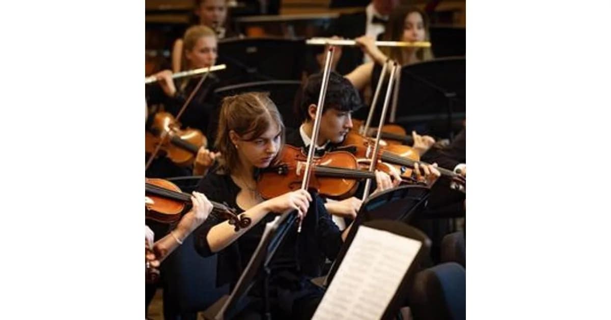 Niedersächsisches Jugendsinfonieorchester event image