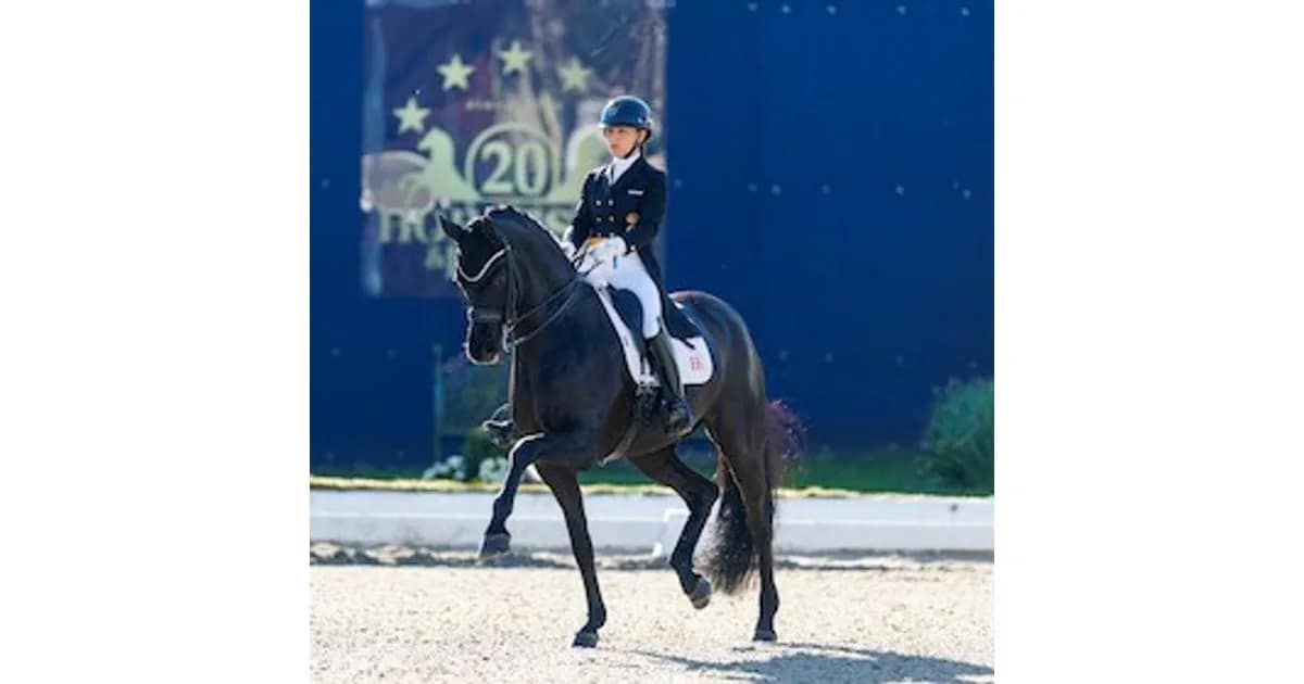 Horses & Dreams 2027 - Horses & Dreams - Tagesveranstaltung Samstag event image