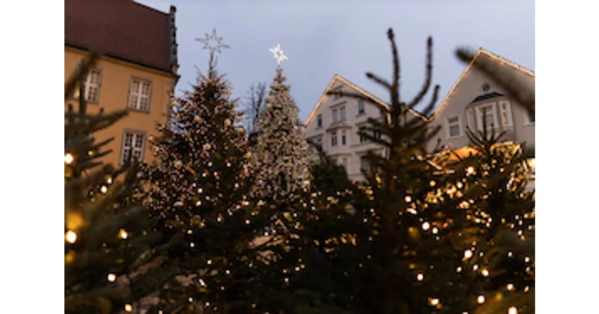 Stadtführung 2026 - "Es weihnachtet sehr!" Gütersloher Weihnachtsrundgang mit Brunhilde Kohls event image