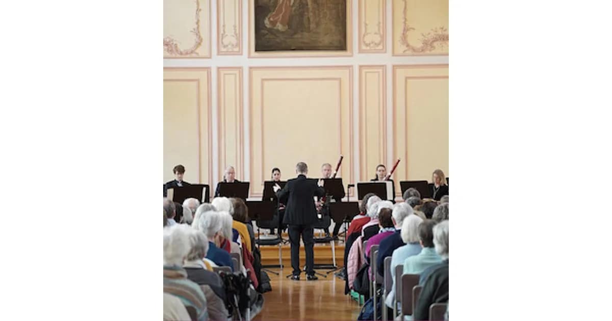 4. Klassik um 11 - Sturm und Drang - Werke v. Hummel, Rutter und Haydn Ltg. Gocha Mosishvili event image