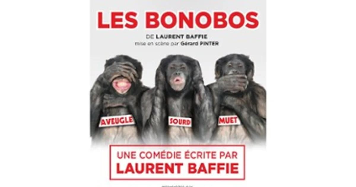Les Bonobos event image