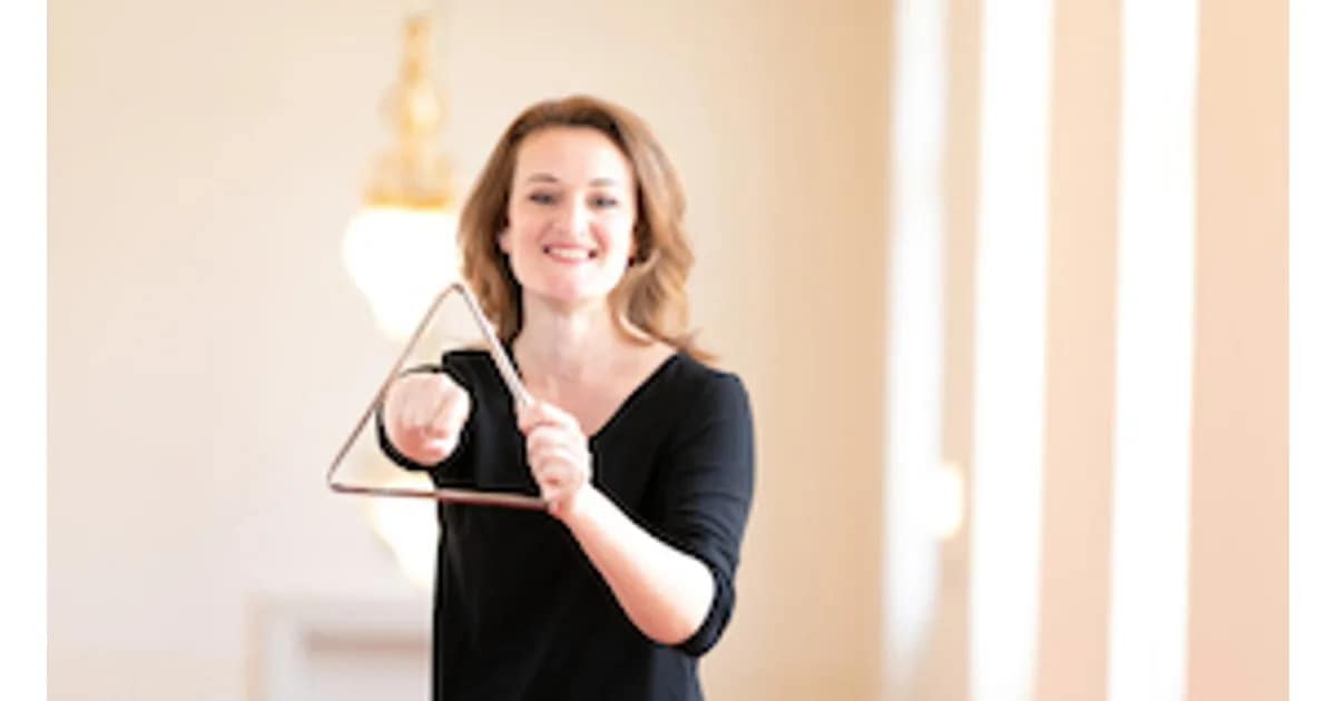 Der Orchestersteckbrief - Moderiertes Familienkonzert mit dem Göttinger Symphonieorchester event image