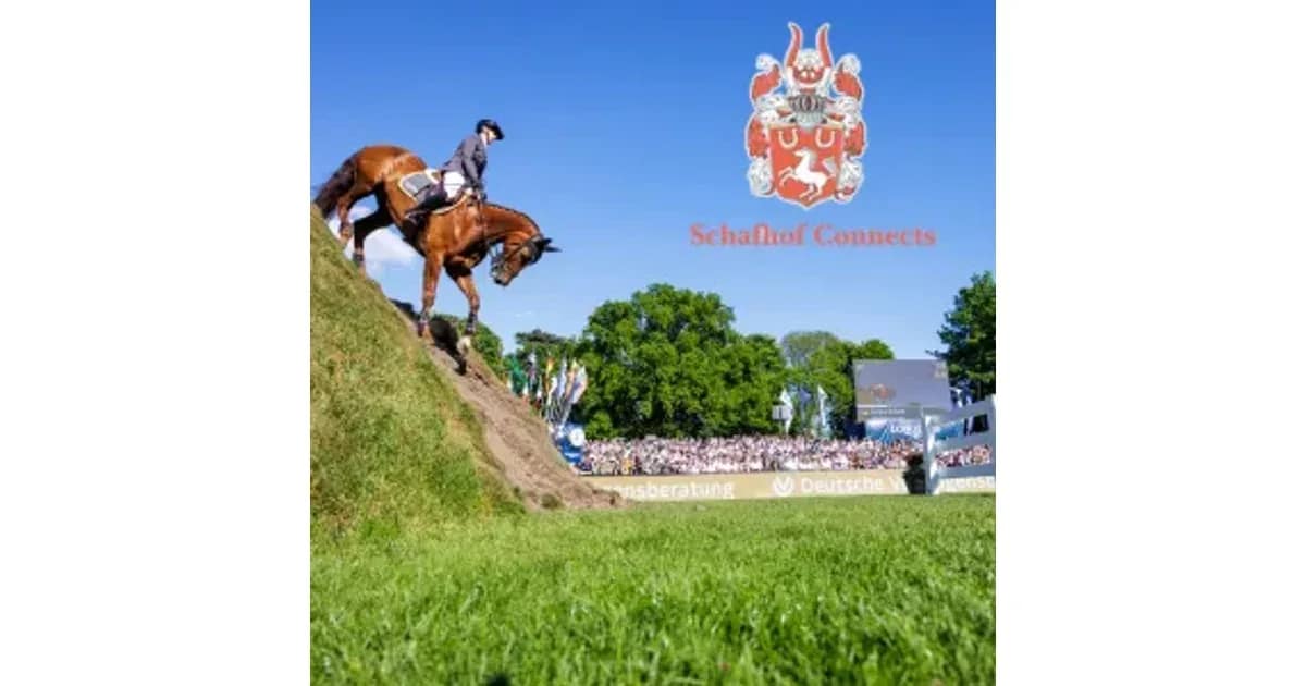 Al Shira'aa Deutsches Spring- und Dressur- Derby 2027 - Tageskarte Freitag Springen 2027 event image