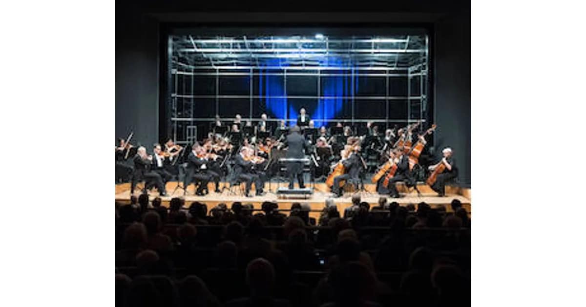 Vogtland Philharmonie Greiz/Reichenbach - Neujahrskonzert event image