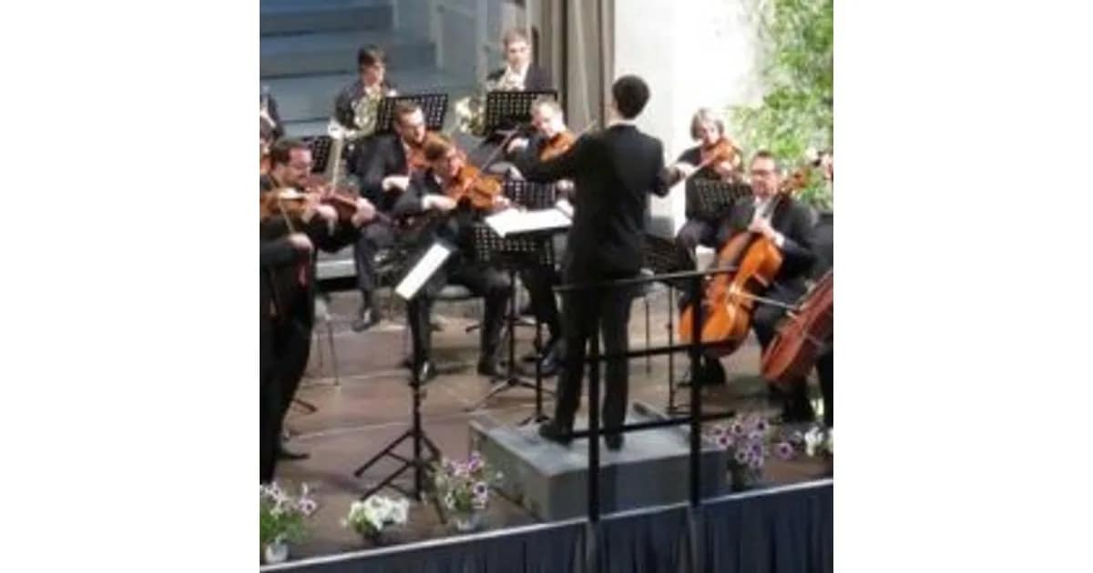 Weißenburger Kammerorchester - Sinfoniekonzert event image