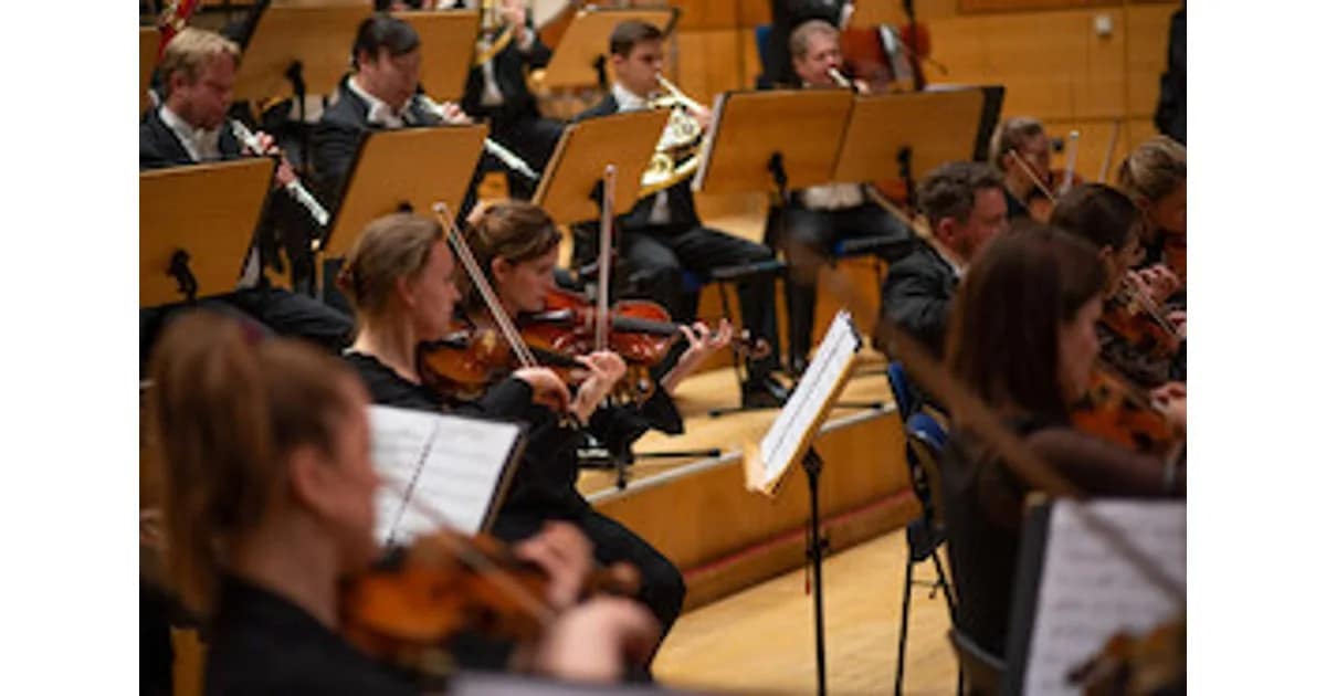 Masterkonzert - Philharmonisches Orchester Würzburg | Leitung: Master-Studierende der HfM event image
