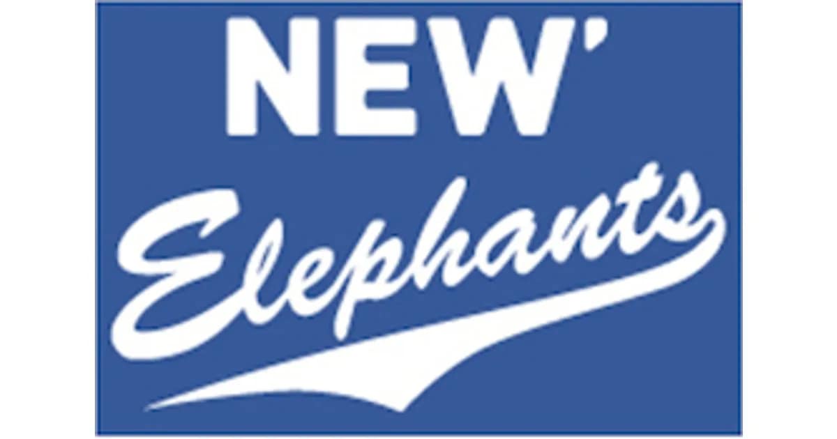 2026/2027 | Regionalliga West - BBG Herford vs. NEW Elephants Grevenbroich event image