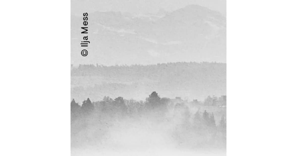 Die Nebel von Dybern - Thriller von Maria Lazar event image