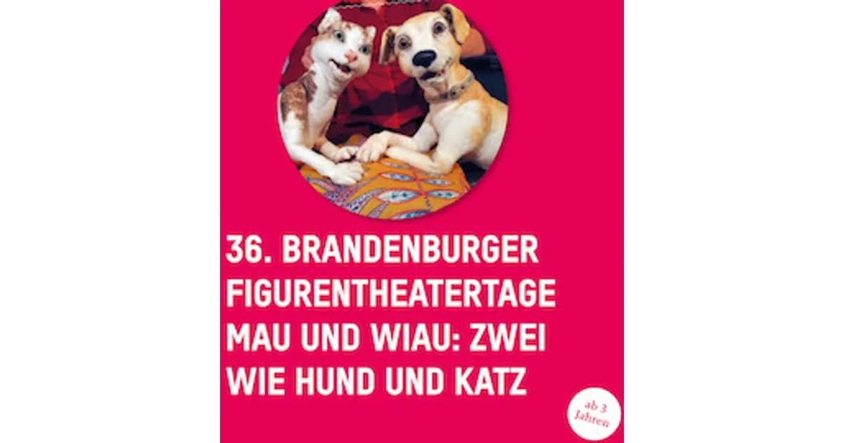 36. Brandenburger Figurentheatertage - Mau und Wiau: Zwei wie Hund und Katz event image