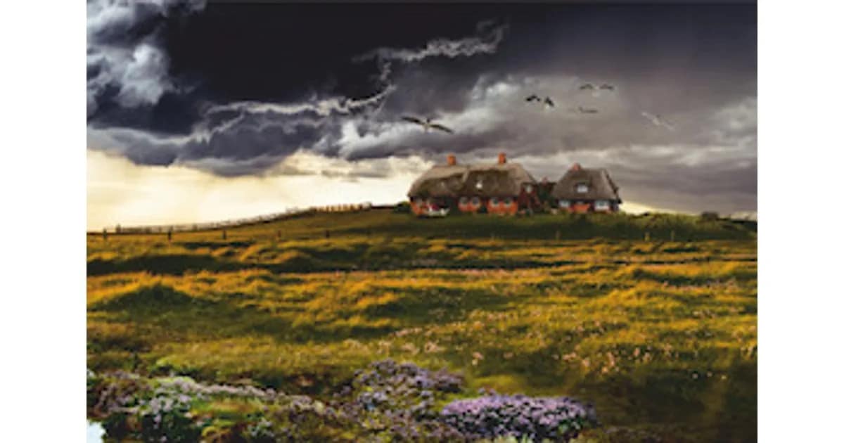 Tödliche Hallig - Autorenlesung mit Hendrik Berg event image