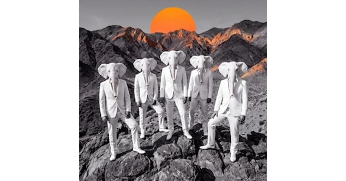 Orange - Bounka event image