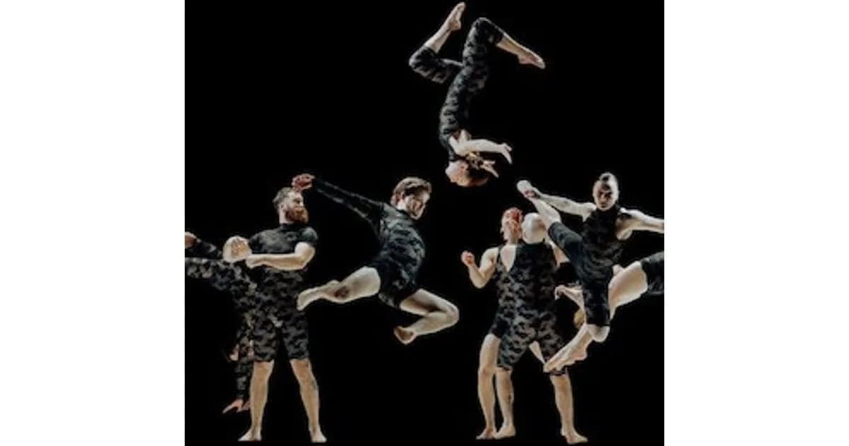 C!rca - Contemporary Circus Company / AUS - C!RCA - NORTH OF NOW event image