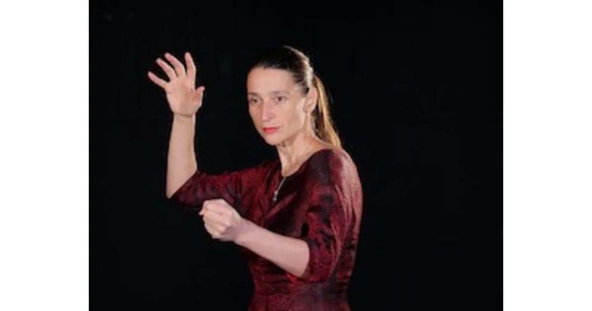 Christine Lander – SPURLOS event image