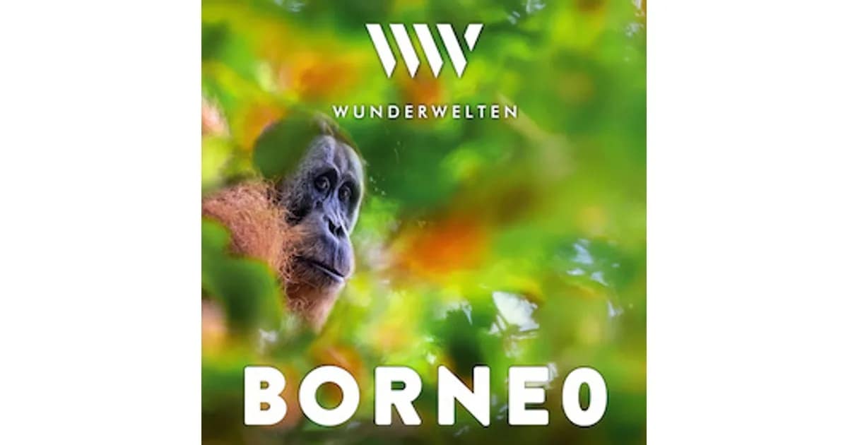 WunderWelten- Festival 2026 - WunderWelten: Borneo - Dschungelleben event image