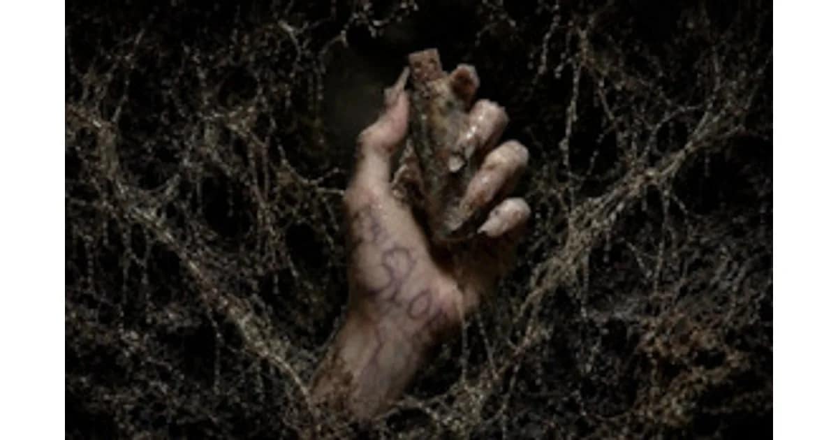 SLOP event image