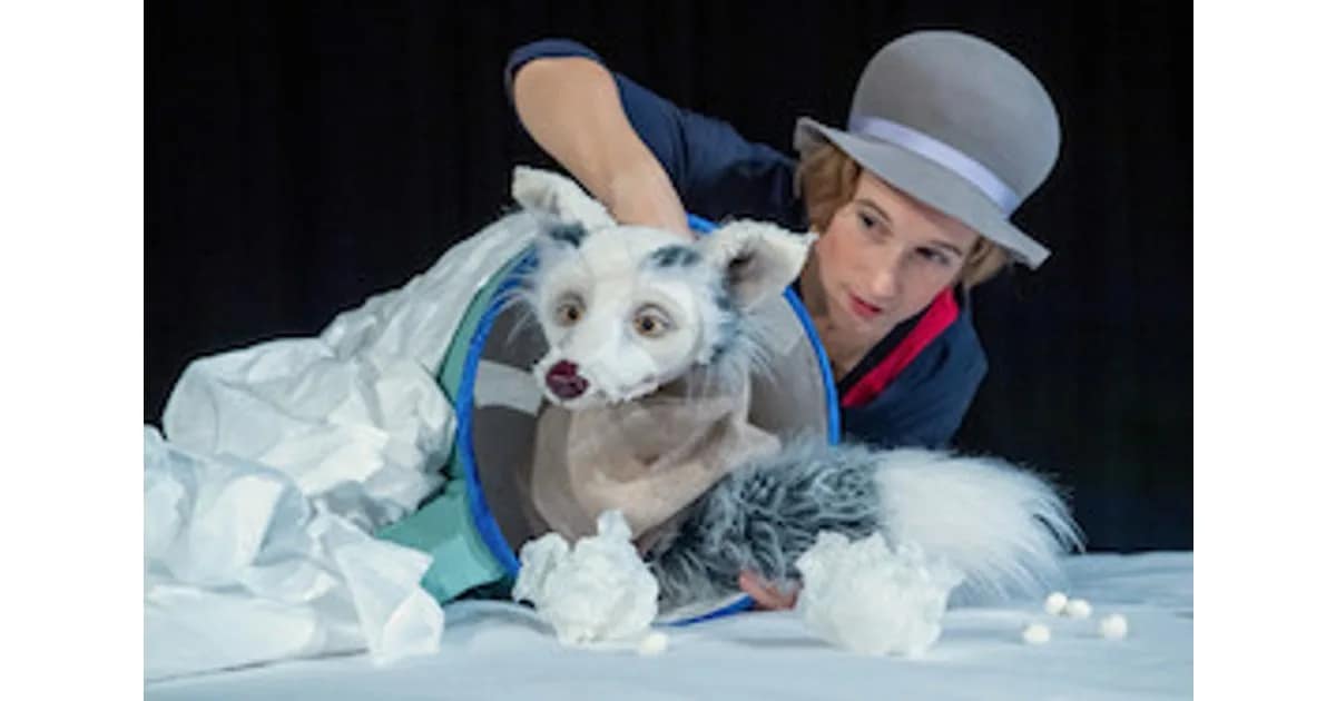 Lichtgestöber - Schneegefunkel - Visuelles Figurentheater mit Deutscher Gebärdensprache und Lautsprache event image