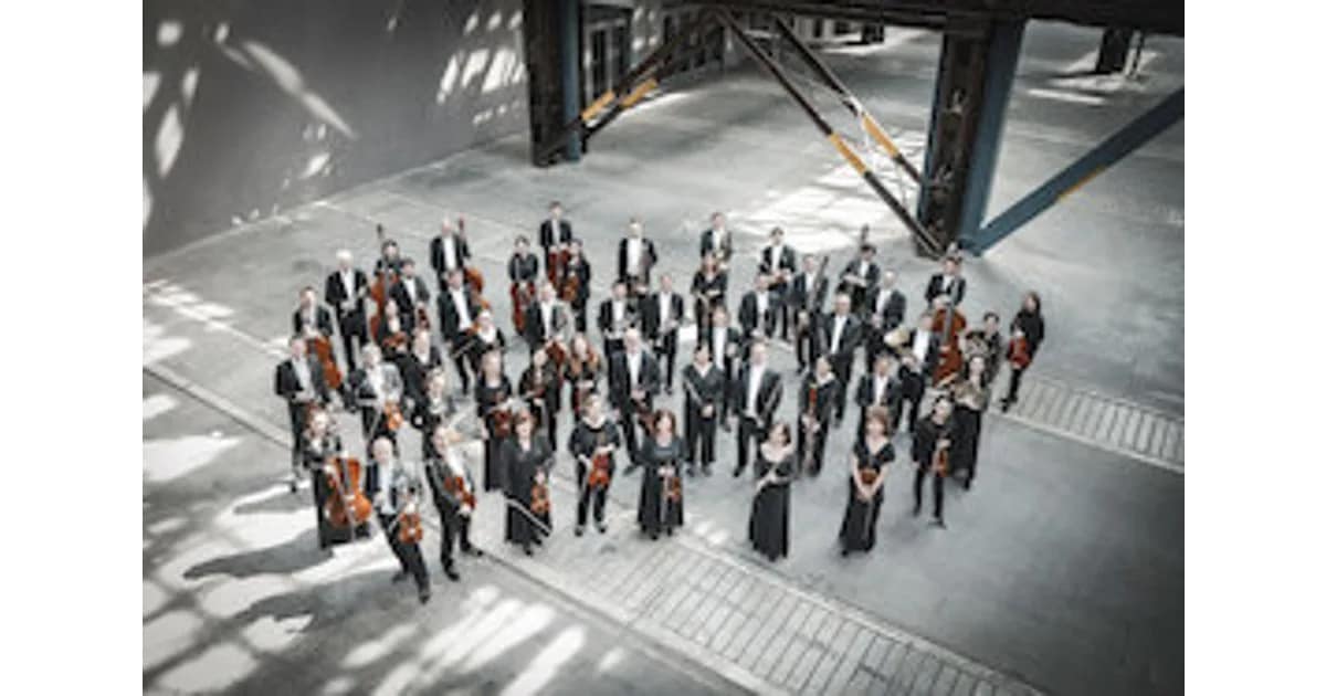 Göttinger Symphonieorchester - Neujahrskonzert "Fiesta" event image