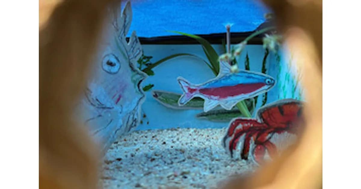 Spielzeit 2026 / 2027 - Workshop Schule der Fantasie: "Unterwasserwelt" event image