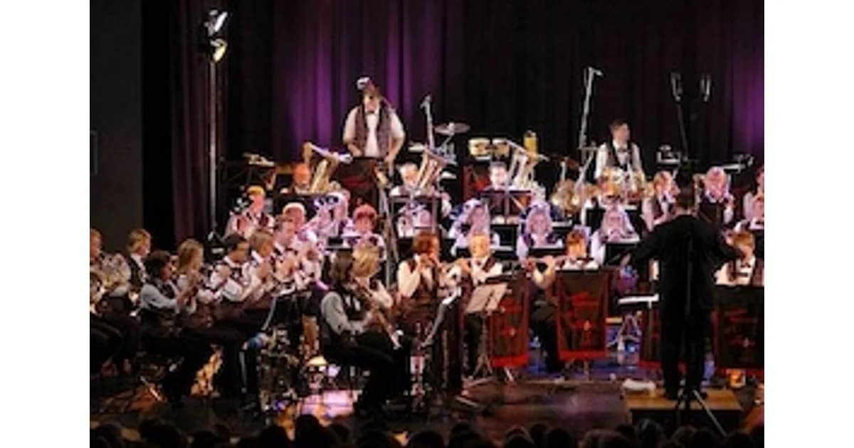 Orchester Vahlhausen - von Classic bis Pop event image