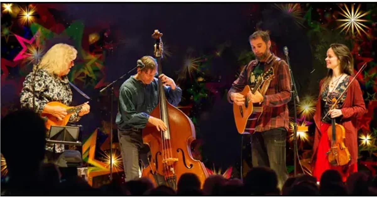 Irish Christmas - Seldom Sober & Friends event image