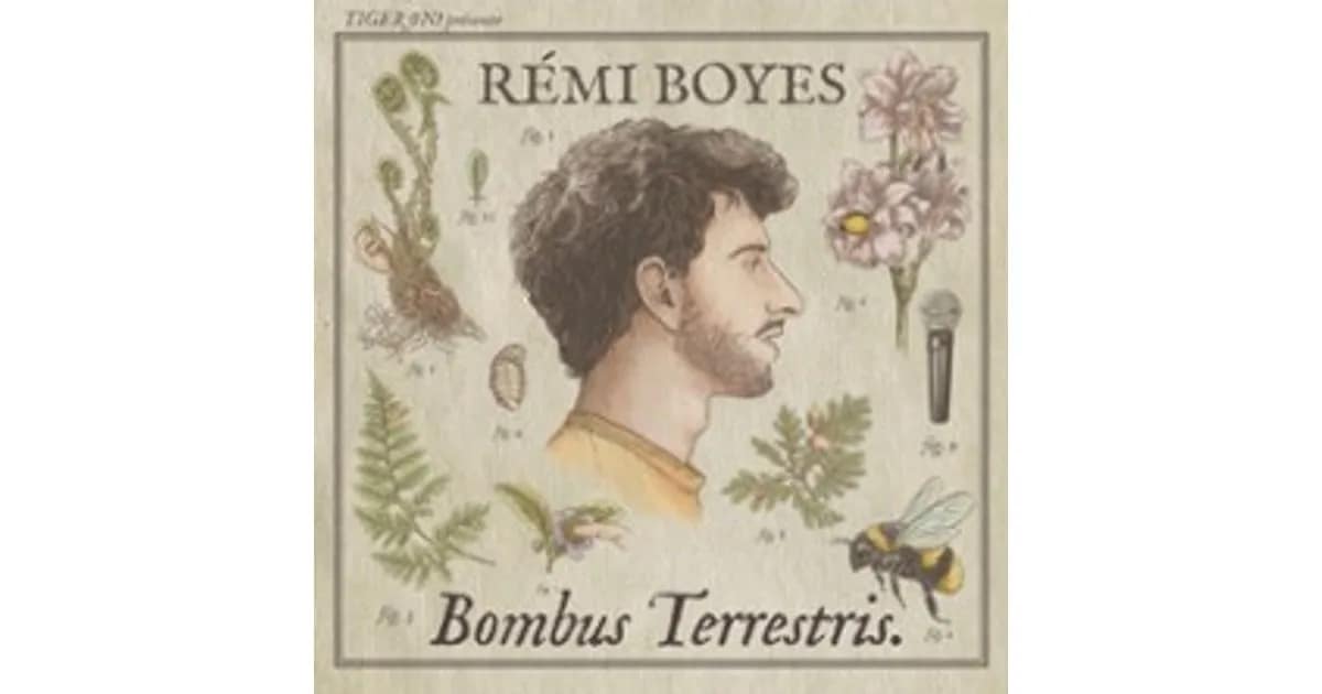 Rémi Boyes - Bombus Terrestris V2 event image