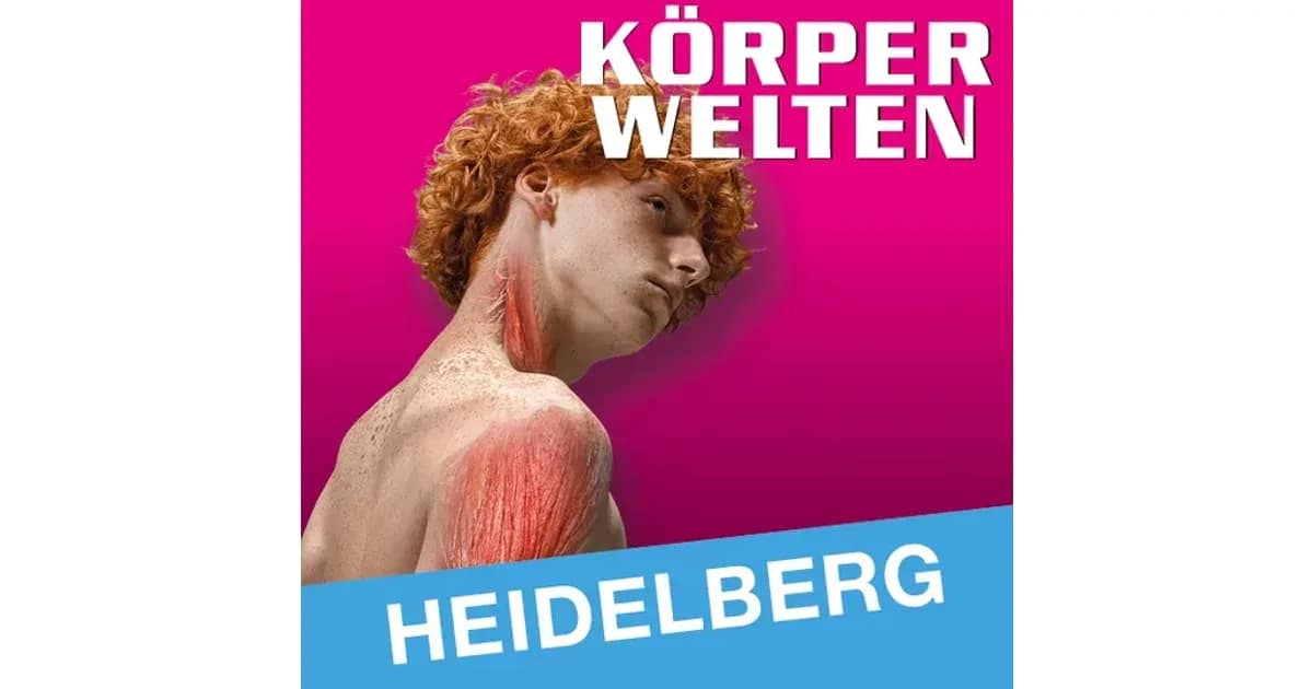 KÖRPERWELTEN | Heidelberg | Tagesticket - event image