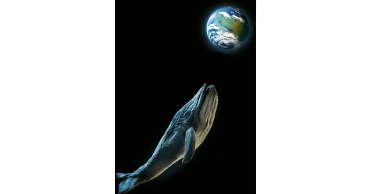 Theater Fiesemadände präsentiert - Die Gesänge der Wale event image
