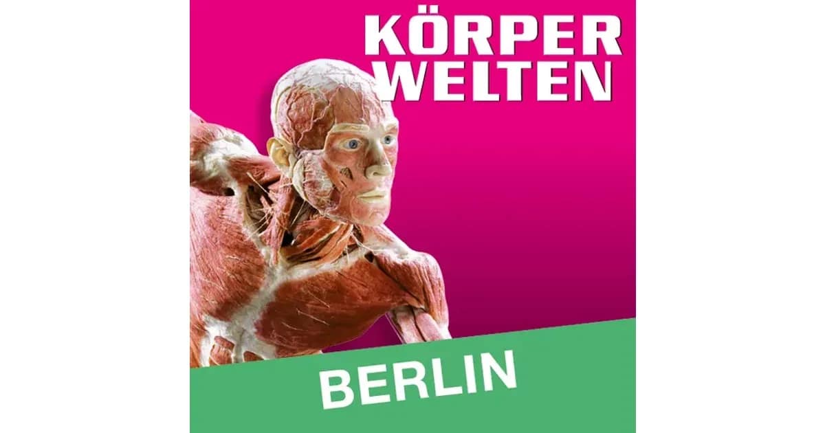 KÖRPERWELTEN | Berlin | Tagesticket -
