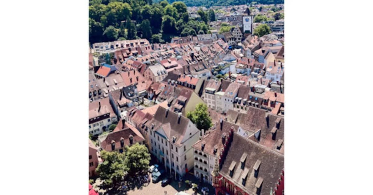 Freiburg für Einsteiger - öffentliche Stadtführung Freiburg event image