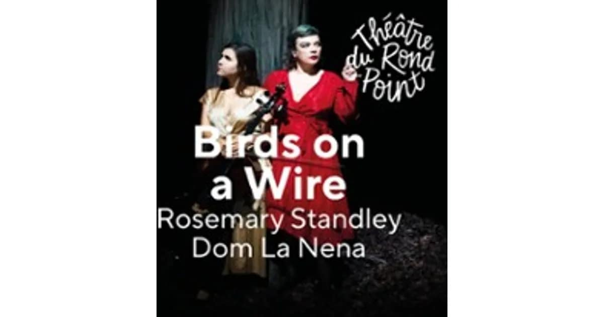 Birds on a Wire - Rosemary Standley & Dom La Nena event image