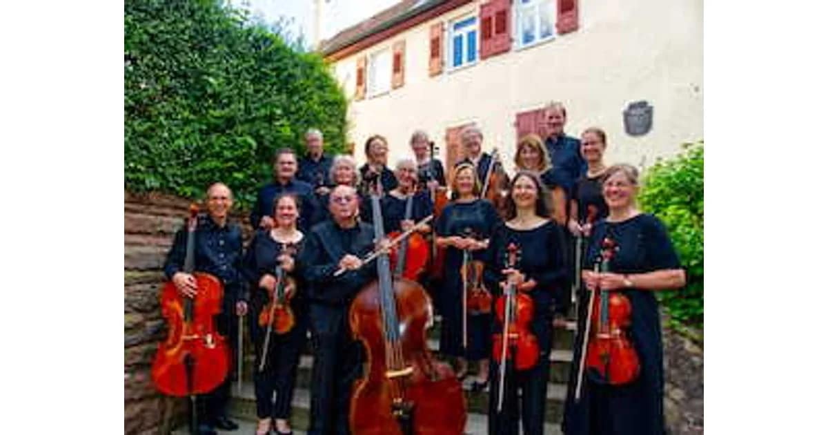 Kammerorchester musica salutare - Leitung: Adelheid Abt event image
