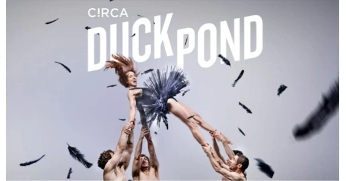 Duck Pond- Circa event image