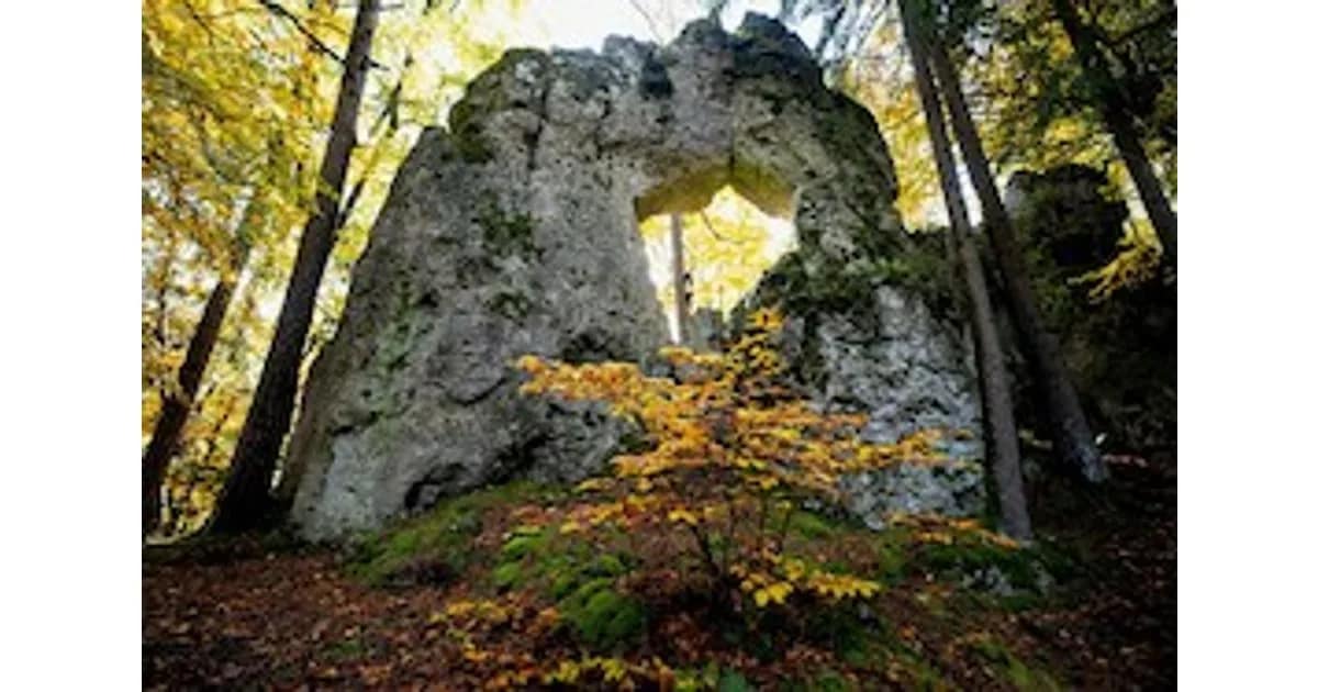 Stadtbücherei Veranstaltungen 2026 - Die verborgenen Wunderwelten der Fränkischen Alb event image