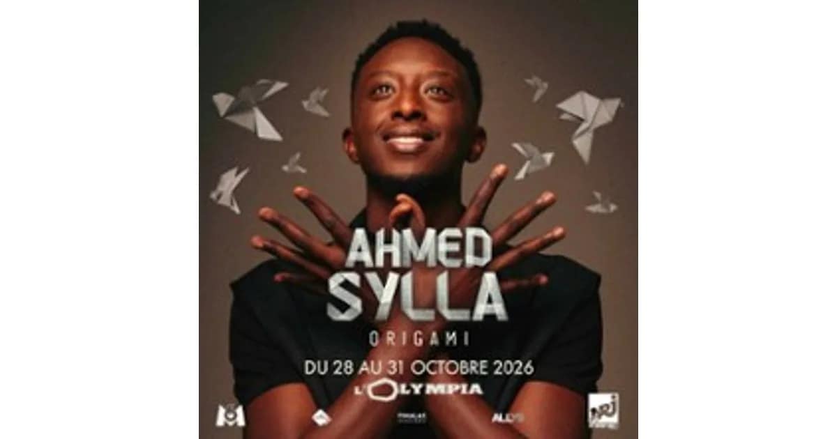 Ahmed Sylla, Origami event image