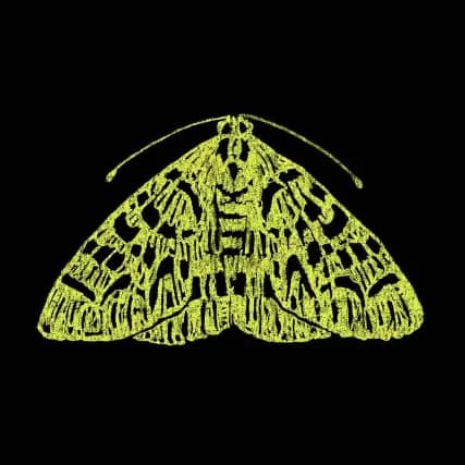THE MOTH: HOME FOR THE HOLIDAYS event image