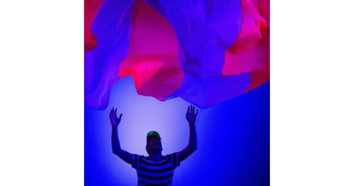 Lunaris / 4+/ Bodenseefestival 2027 - UNITED PUPPETS event image