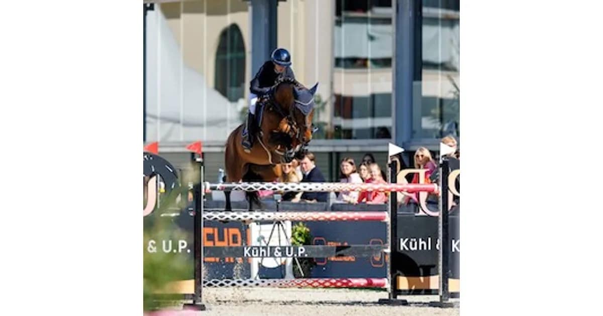 Horses & Dreams 2027 - Horses & Dreams - Tagesveranstaltung Freitag event image