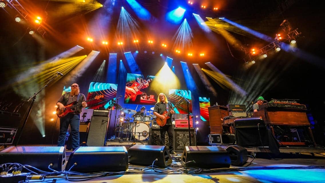Govt Mule w/ Ziggy Marley event image